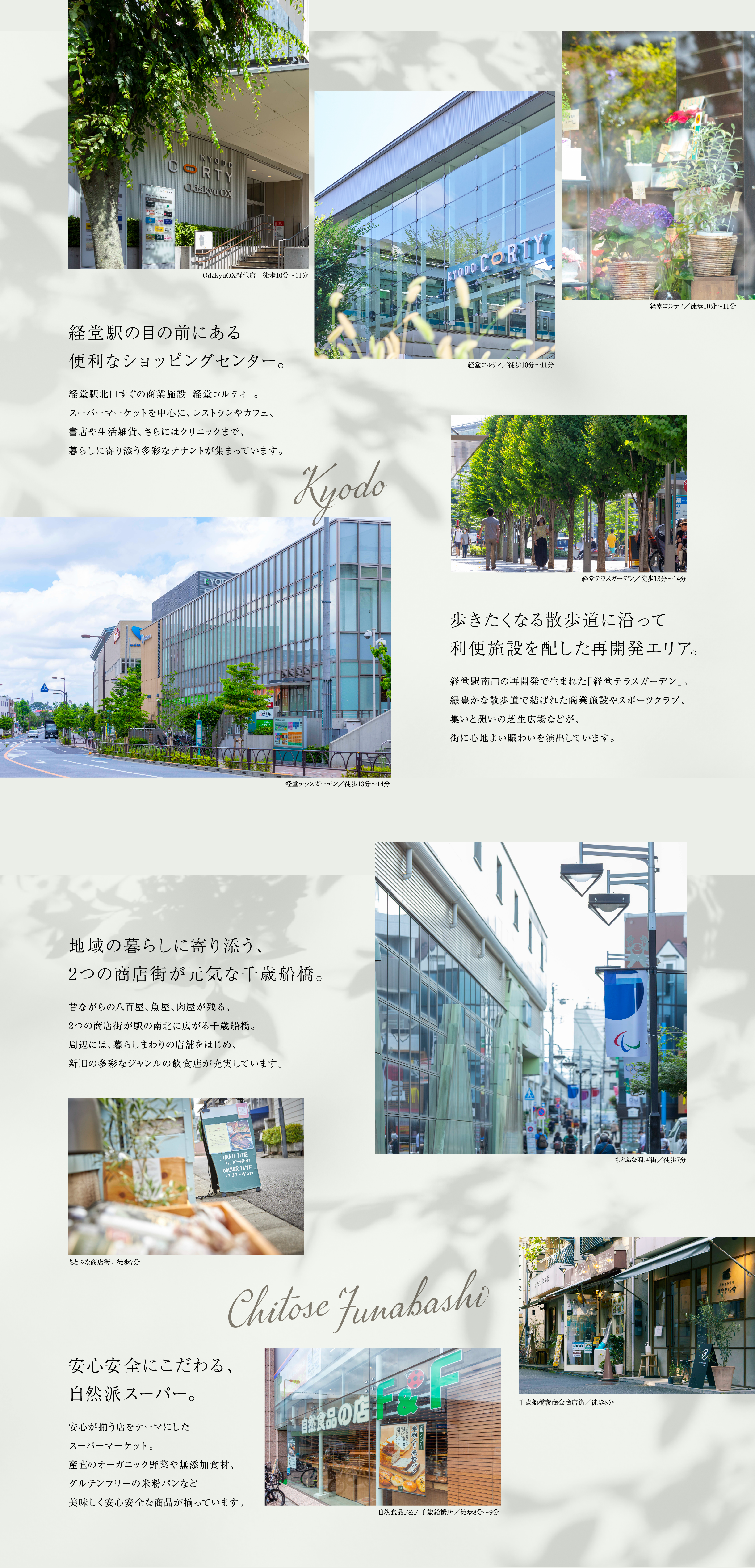 炵ɕKvȂA̊XŊ|WVB