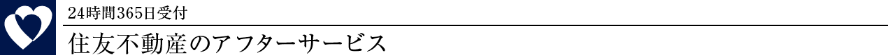 ZFsỸAt^[T[rX