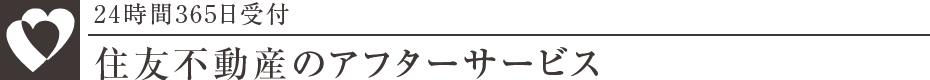 ZFsỸAt^[T[rX