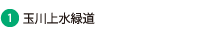 ʐ㐅Γ