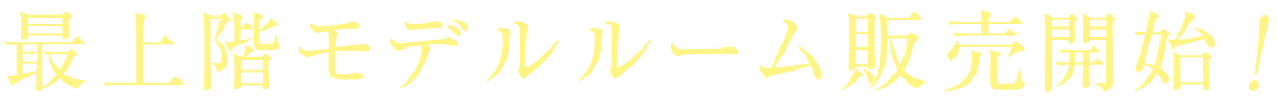 ŏKf[̔JnI