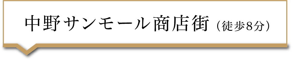 ����T�����[�����X�X �i�k��8���j