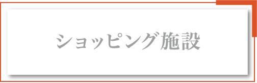 �V���b�s���O�{��