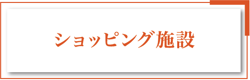 �V���b�s���O�{��