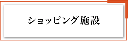 �V���b�s���O�{��