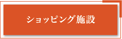 �V���b�s���O�{��