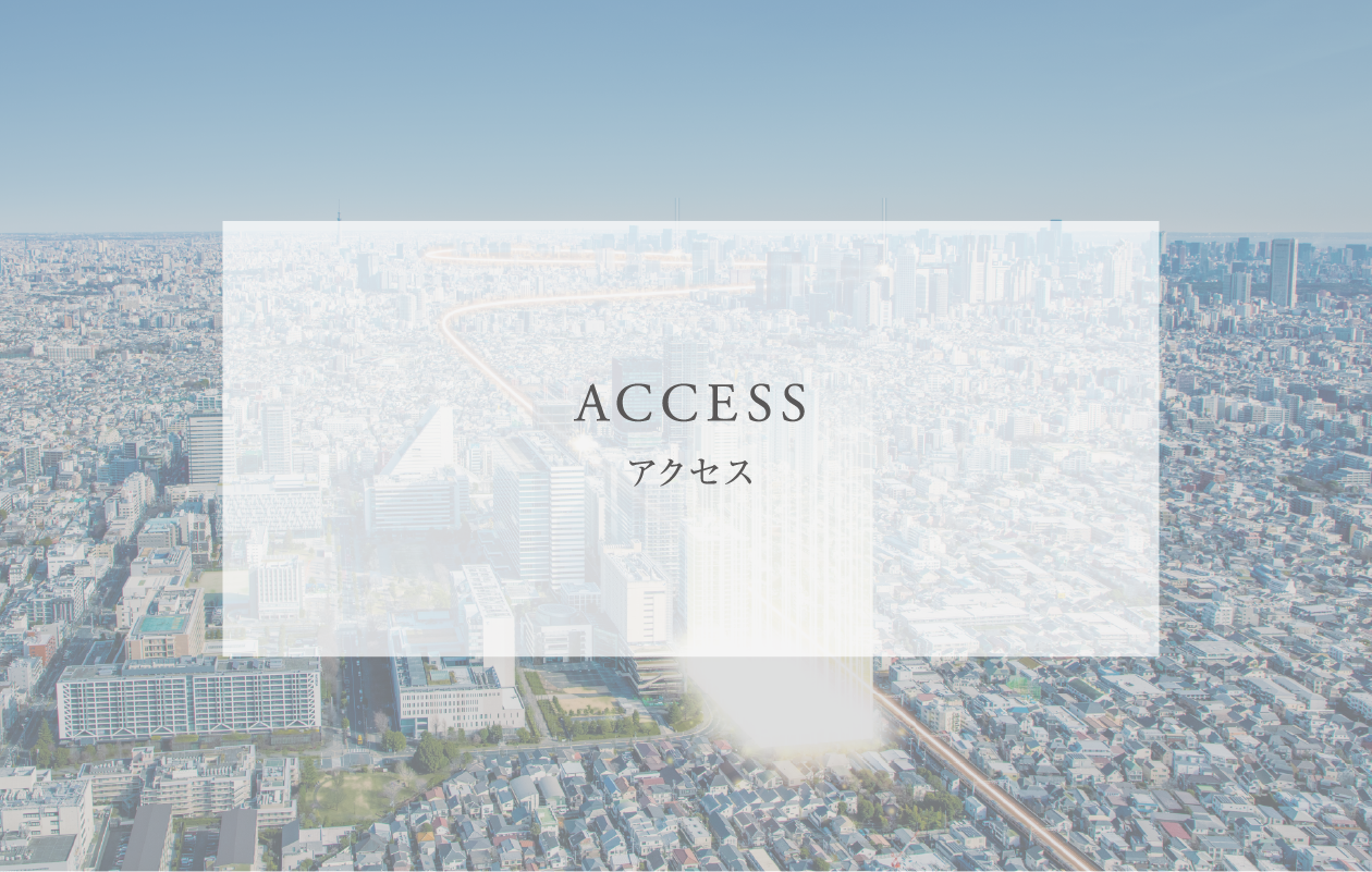 ACCESS �A�N�Z�X