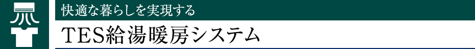 Kȕ炵TESg[VXe