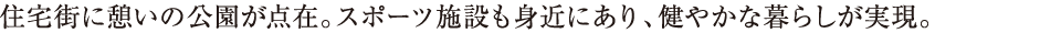 ZXɌě_݁BX|[c{݂g߂ɂA₩ȕ炵B