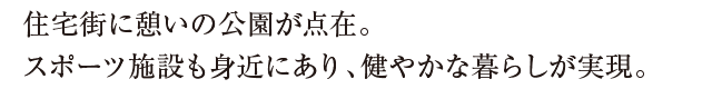 ZXɌě_݁BX|[c{݂g߂ɂA₩ȕ炵B
