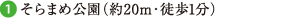 ܂ߌi20mEk1j