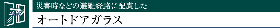 ЊQȂǂ̔oHɔzI[ghAKX