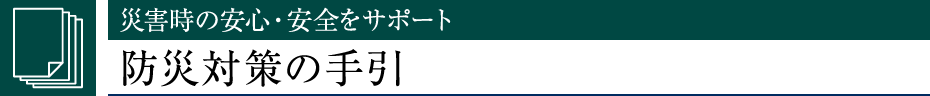 ЊQ̈SEST|[ghБ΍̎