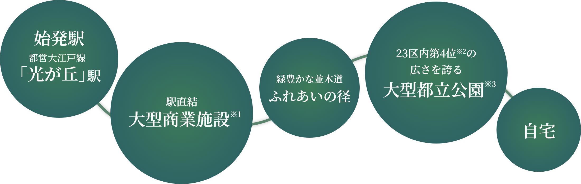 �w�Ǝ�����Ȃ��A���K�ȓ��퓱���B