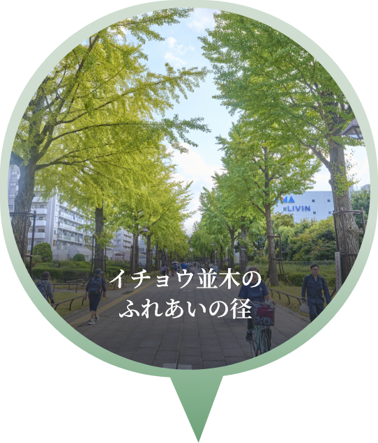 �C�`���E���؂̂ӂꂠ���̌a