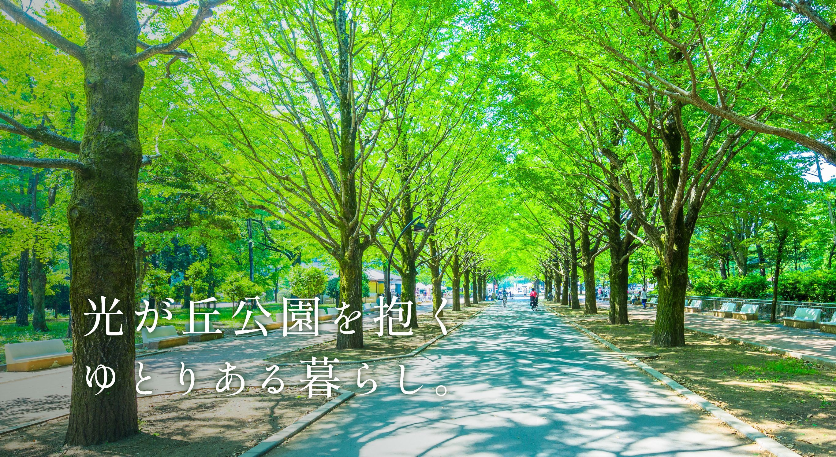 森の住人 2024年アニバーサリーエディションzx4rr販売 : r/zx4r