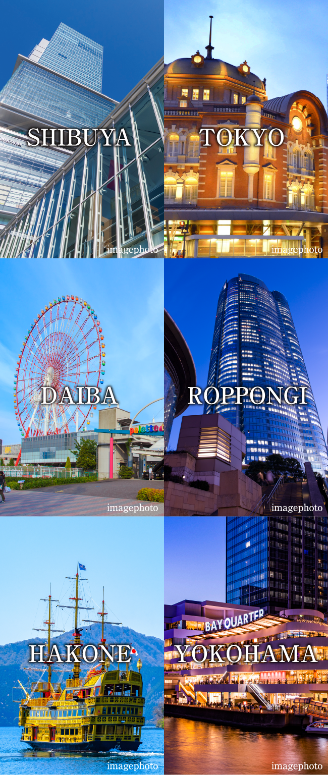 参考画像