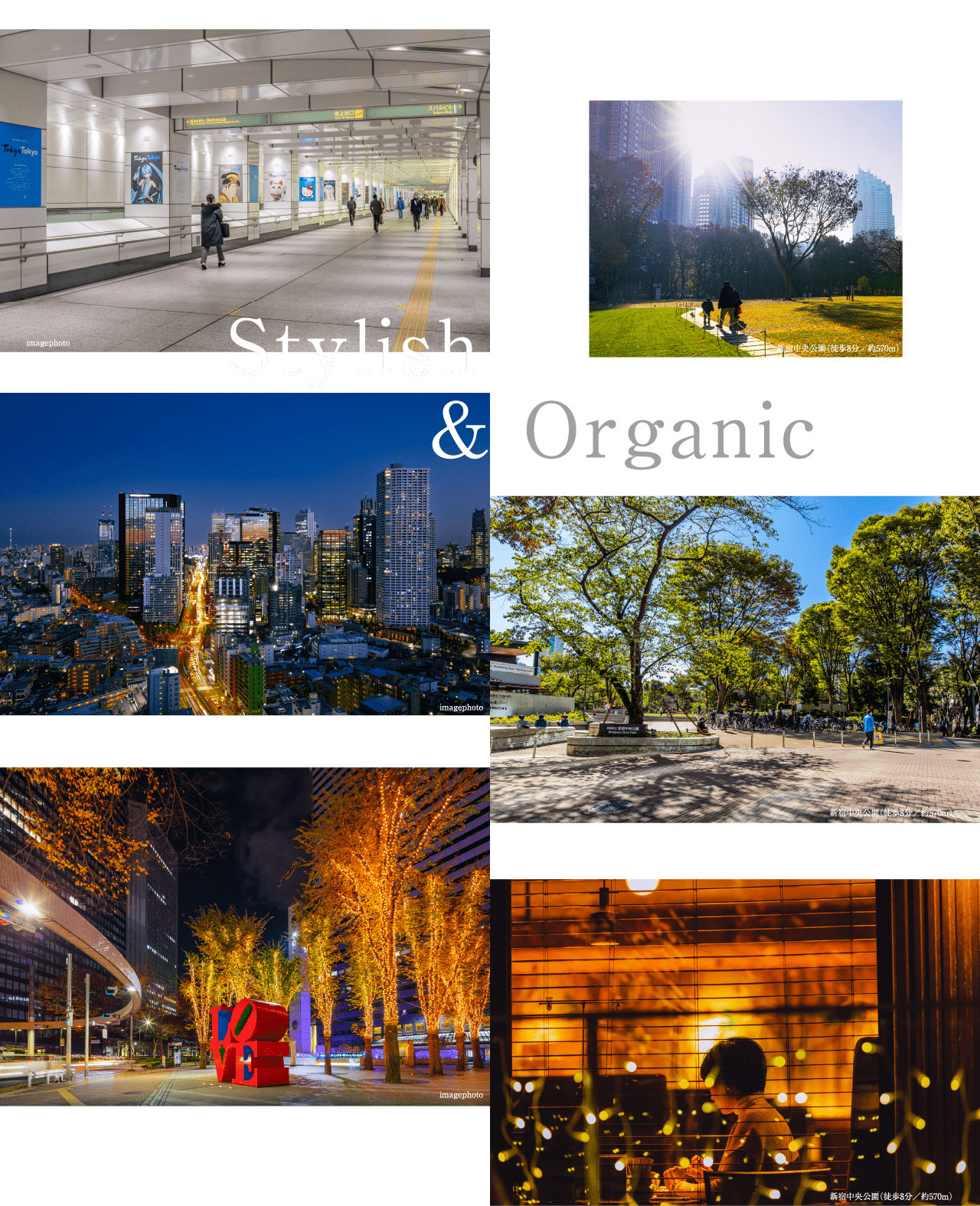 Stylish&Organic