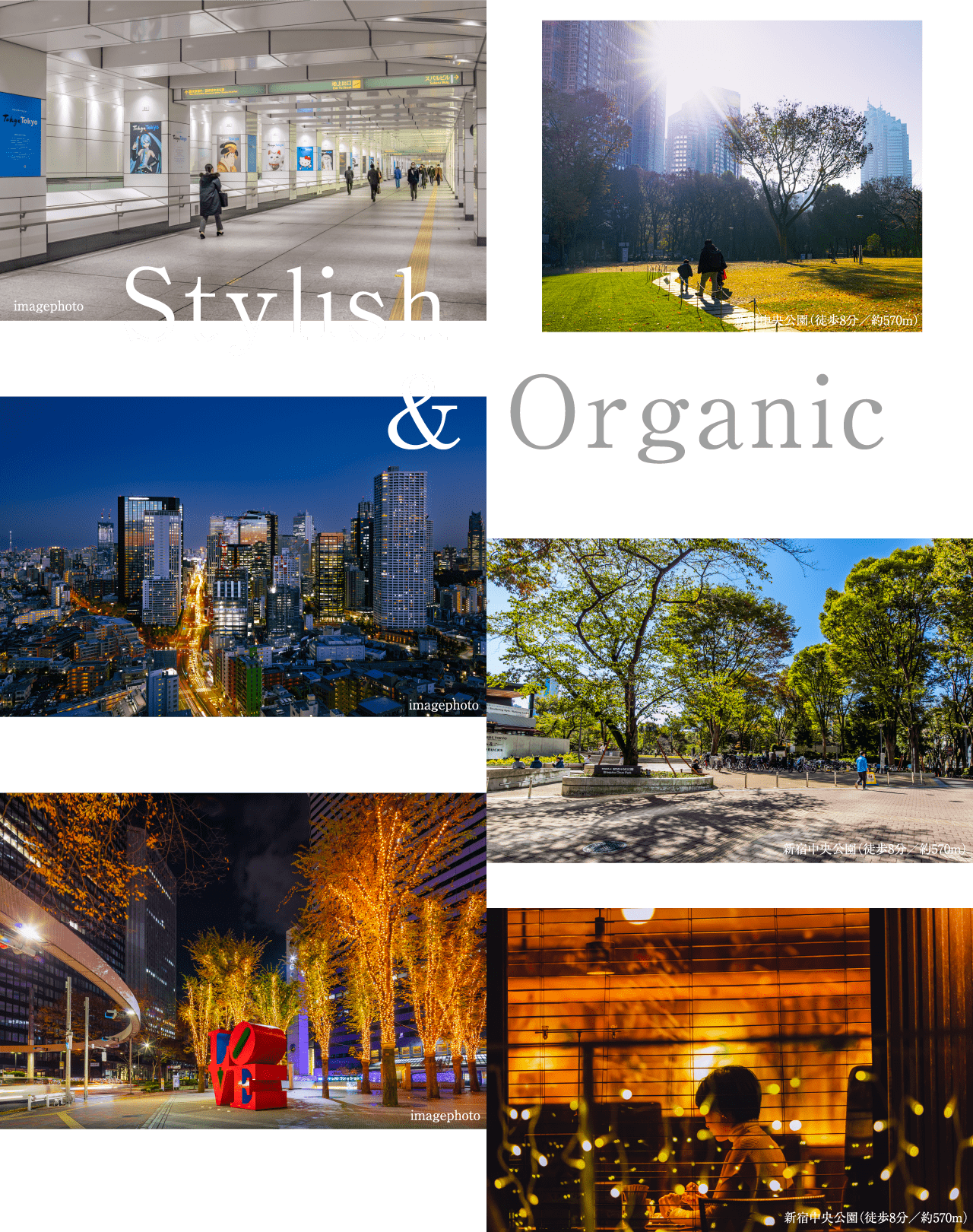 Stylish&Organic