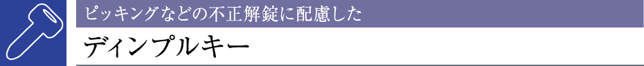 sbLOȂǂ̕sɔzfBvL[