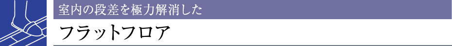 ̒iɗ͉tbgtA