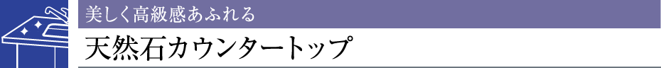 ӂVR΃JE^[gbv