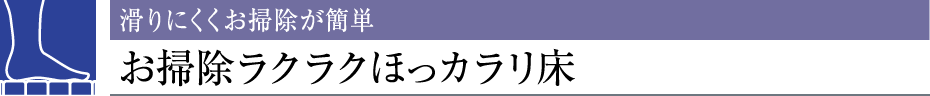 ɂ|ȒP|NNقJ