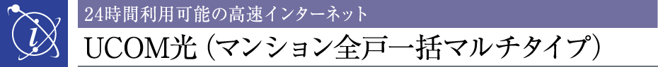 24ԗp\̍C^[lbgUCOMi}VSˈꊇ}`^Cvj