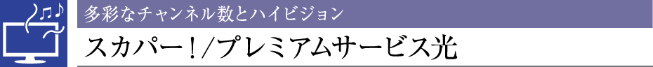 ʂȃ`lƃnCrWXJp[I/v~AT[rX