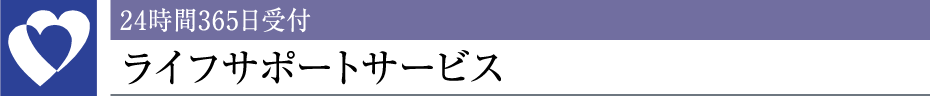 24365tCtT|[gT[rX