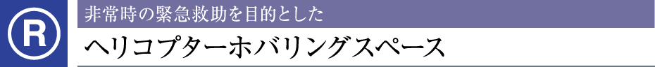 펞ً̋}~ړIƂwRv^[zoOXy[X