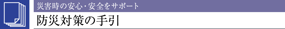 ЊQ̈SEST|[ghБ΍̎