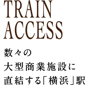 TRAIN ACCESS