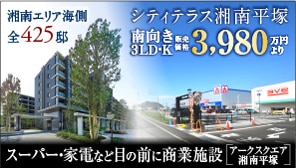 �V�e�B�e���X�Ó약��