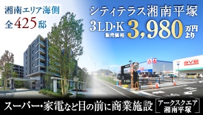 �V�e�B�e���X�Ó약��