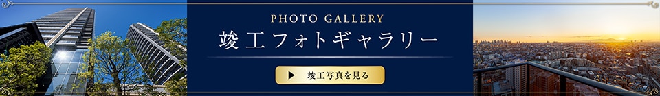 vHtHgM[