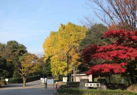 大宮公園