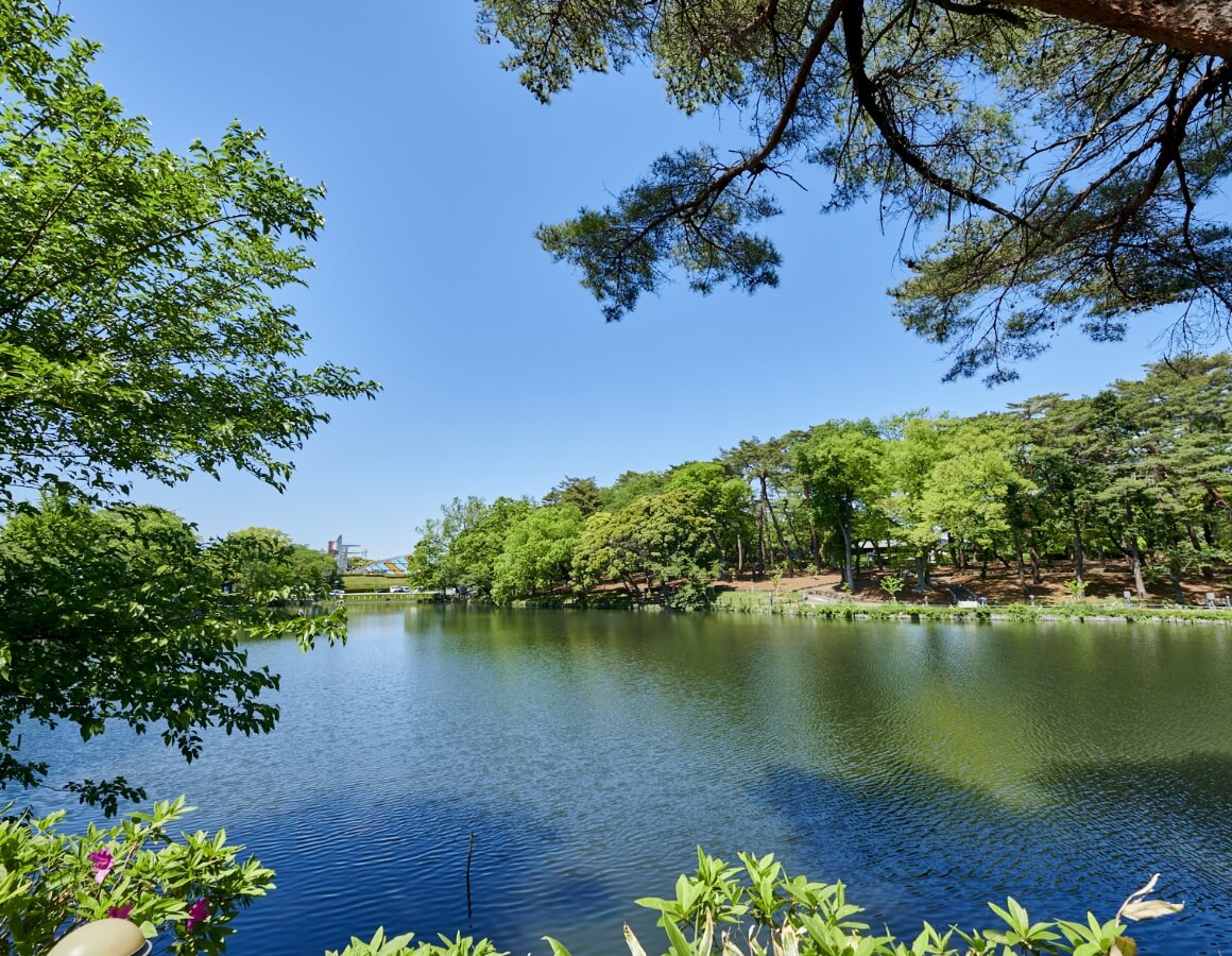 大宮公園