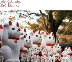 豪徳寺 / image photo