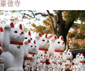 豪徳寺 / image photo