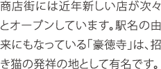 商店街には近年新しい店が次々とオープンしています。駅名の由来にもなっている「豪徳寺」は、招き猫の発祥の地として有名です。