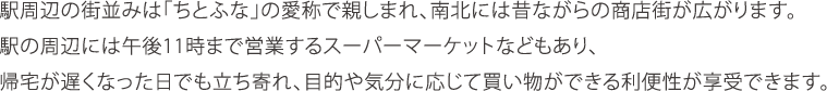 駅周辺の街並みは「ちとふな」の愛称で親しまれ、南北には昔ながらの商店街が広がります。駅の周辺には午後11時まで営業するスーパーマーケットなどもあり、帰宅が遅くなった日でも立ち寄れ、目的や気分に応じて買い物ができる利便性が享受できます。