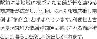 駅前には地域に根づいた老舗が軒を連ねる商店街が広がり、北側は「ちとふな商店街」、南側は「参商会」と呼ばれています。利便性と古き良き昭和の情緒が同時に感じられる商店街として、暮らしを楽しく演出してくれます。