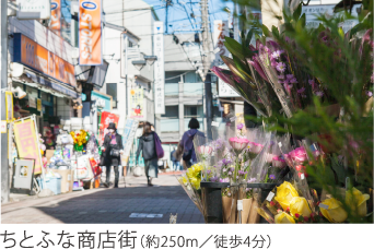 ちとふな商店街（約250m／徒歩4分）