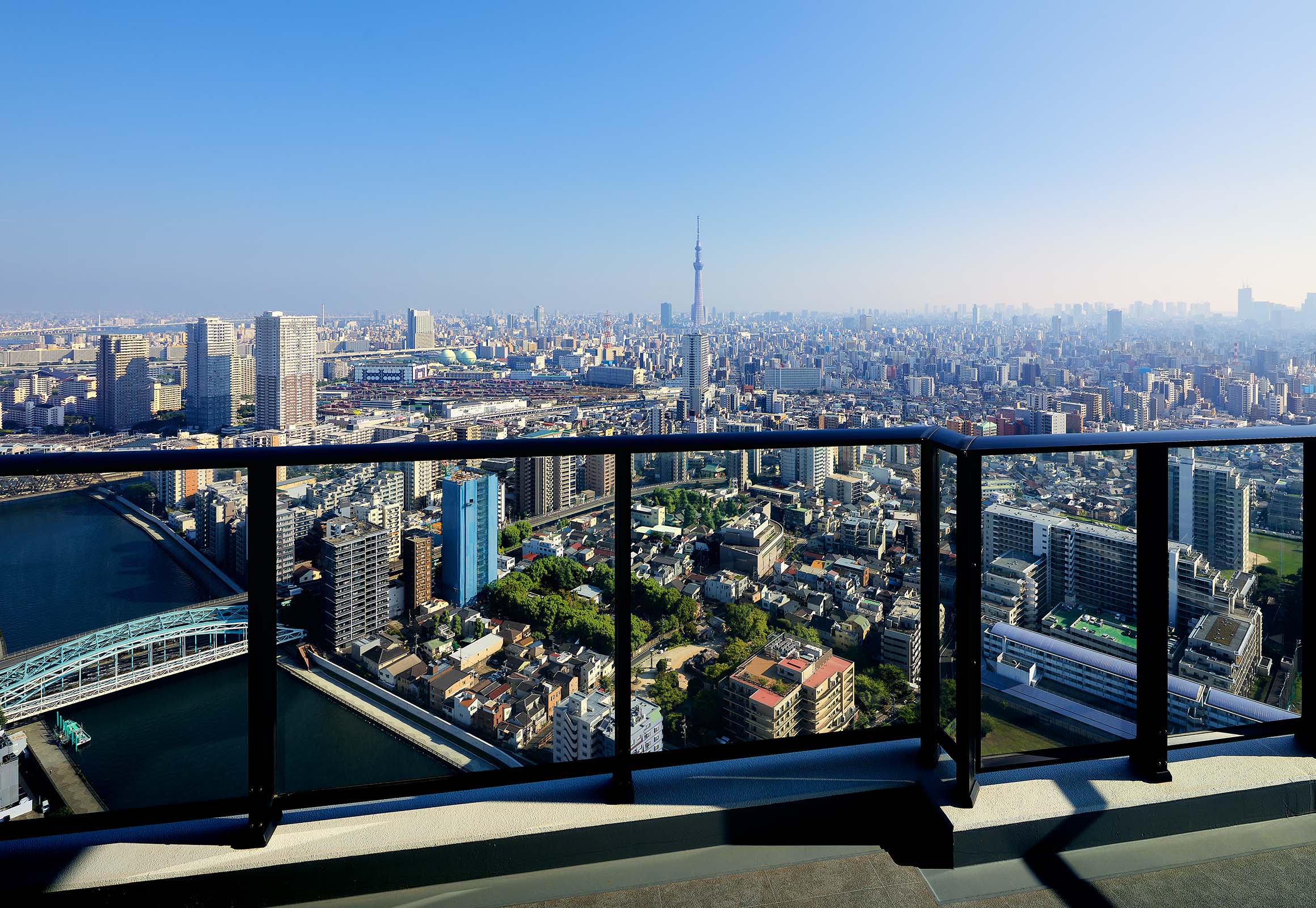 �o���R�j�[�i4204�����j�i2025�N9���B�e�j