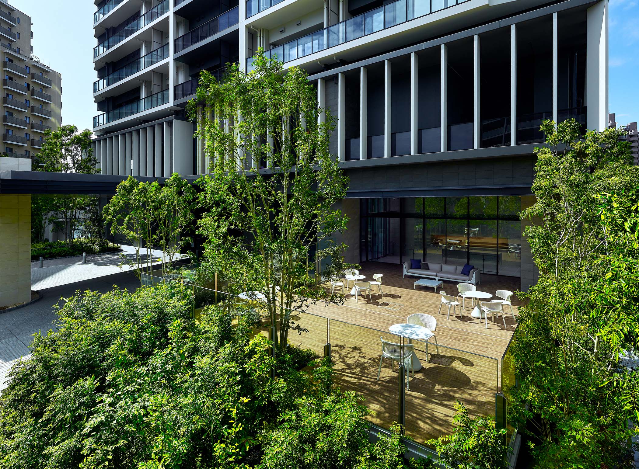 �E�b�h�e���X�i2025�N9���B�e�j