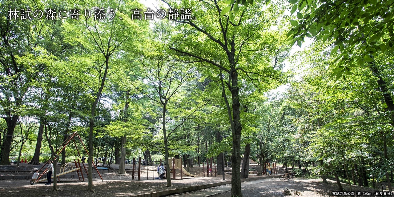 林試の森公園（約400m／徒歩5分）
