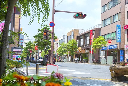 パインアベニュー商店街