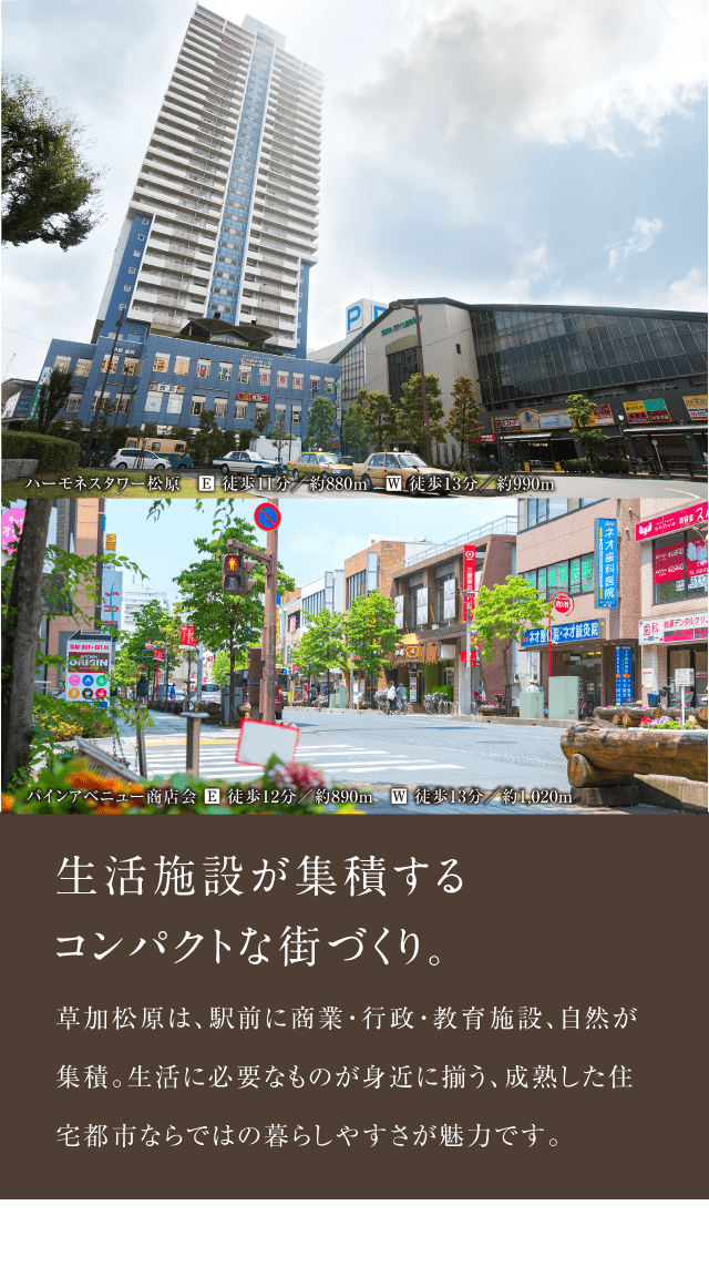 生活施設が集積するコンパクトな街づくり。