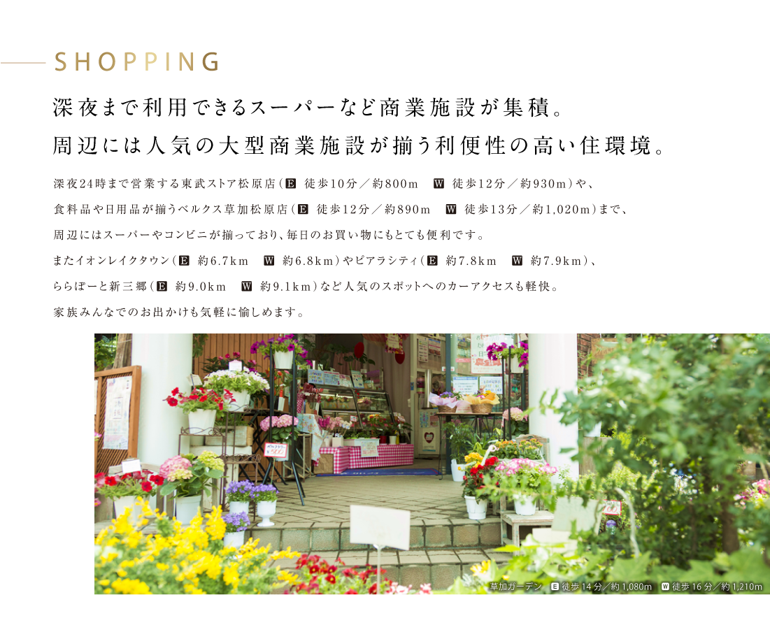 SHOPPING